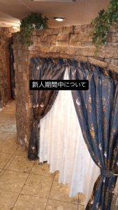 新人期間中にやるべきこと