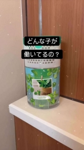 どんな女の子が働いてるの？